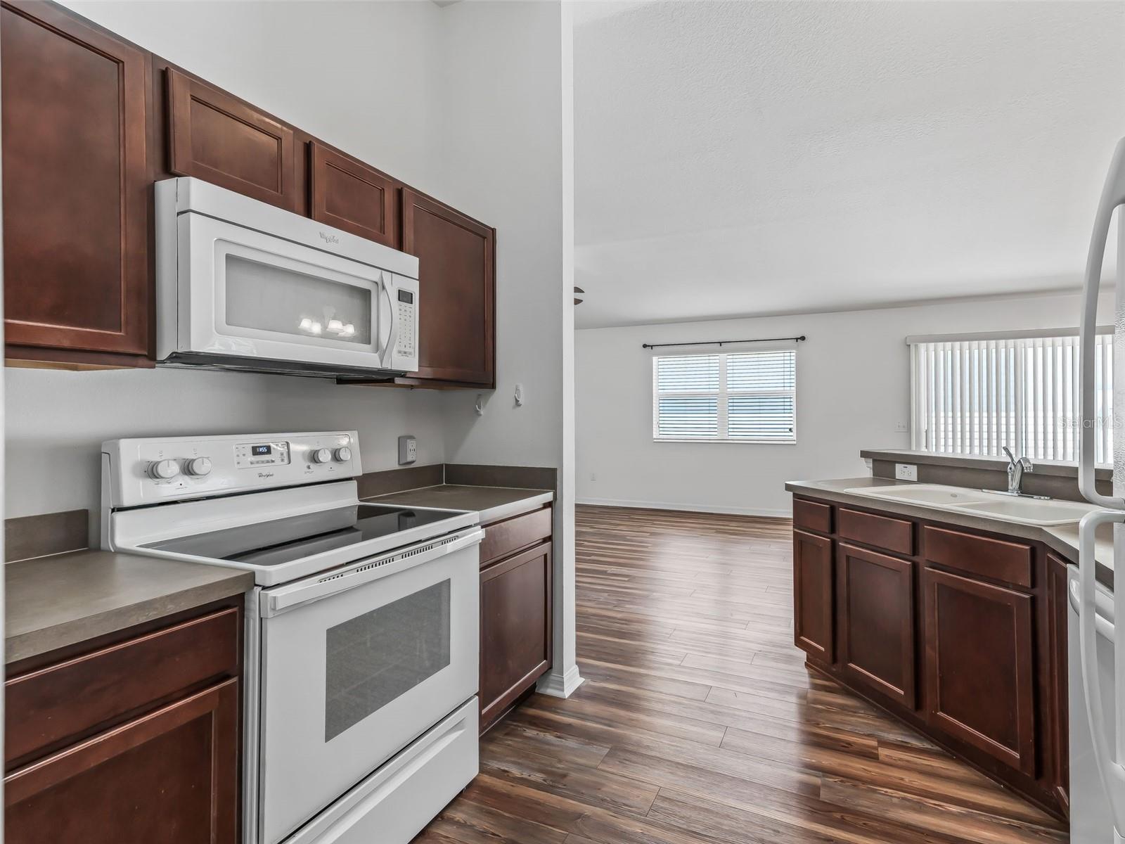 3046 NUTWOOD AVE, THE VILLAGES, FL, 32163