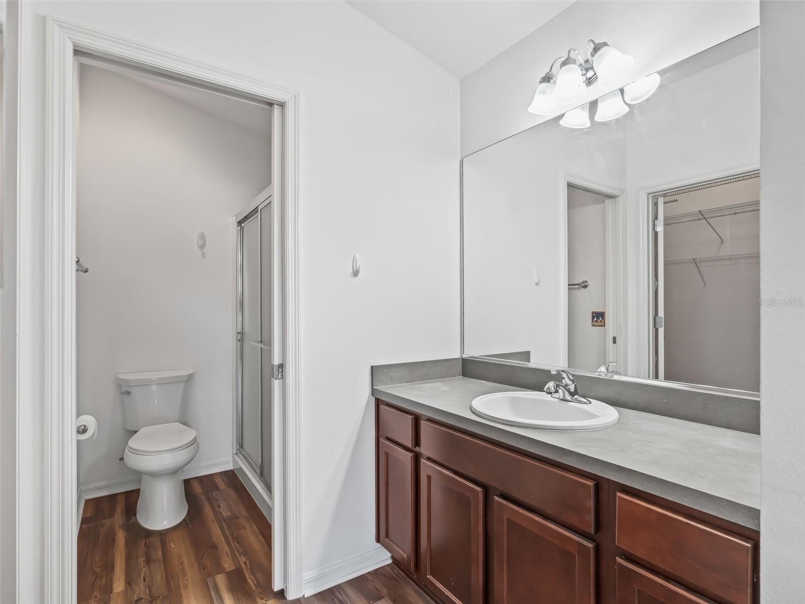 3046 NUTWOOD AVE, THE VILLAGES, FL, 32163