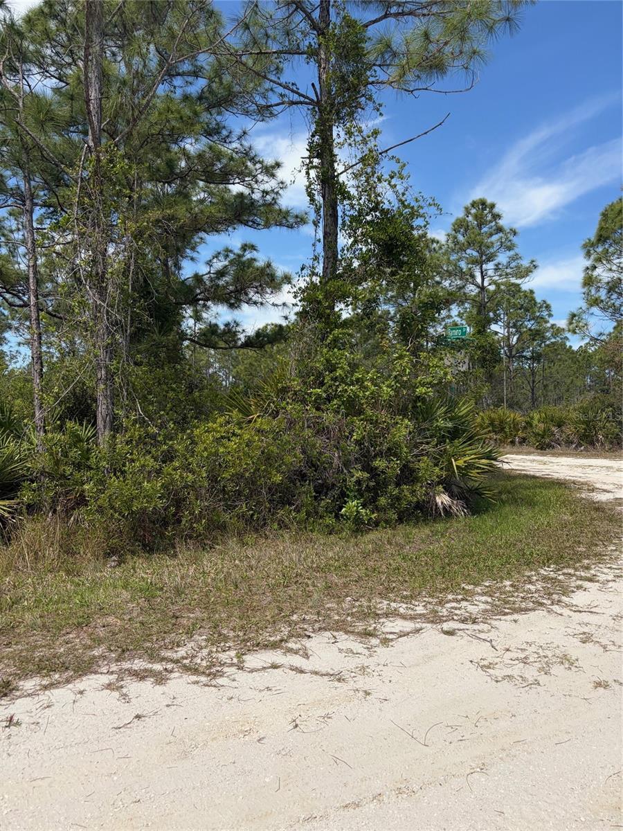 28131 RAMIRO DR, PUNTA GORDA, FL, 33955