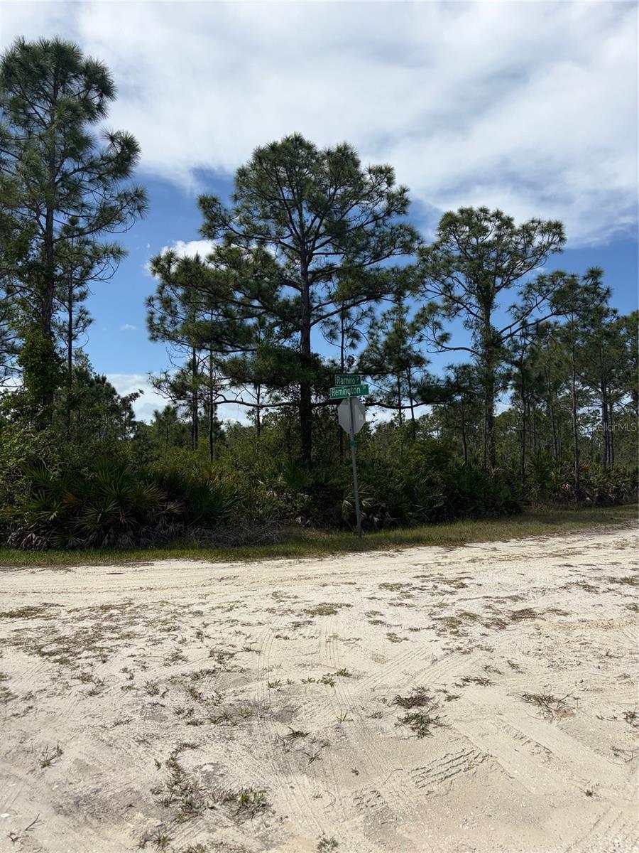 28131 RAMIRO DR, PUNTA GORDA, FL, 33955