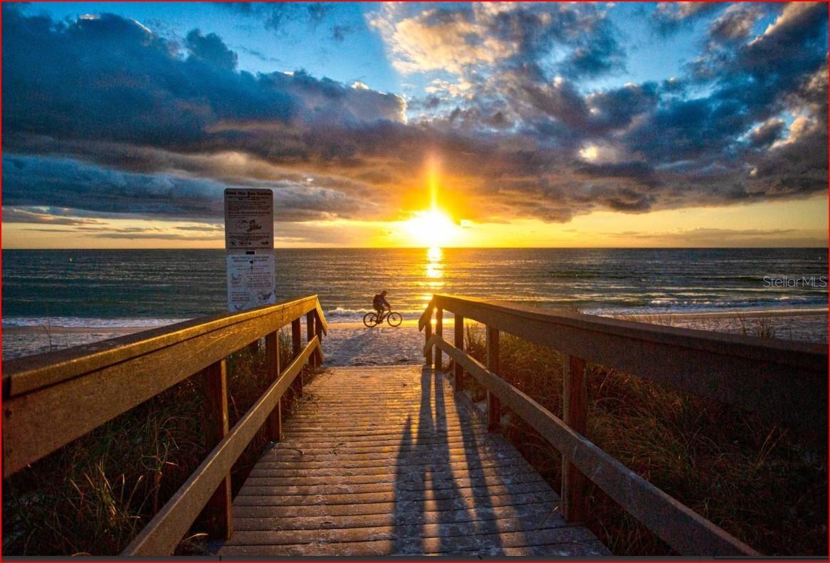 11440 1ST ST E #6, TREASURE ISLAND, FL, 33706