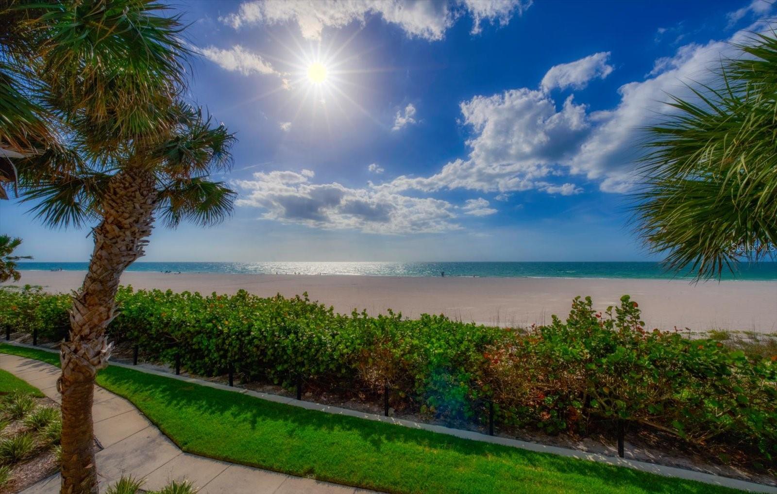 1560 GULF BLVD #304, CLEARWATER, FL, 33767