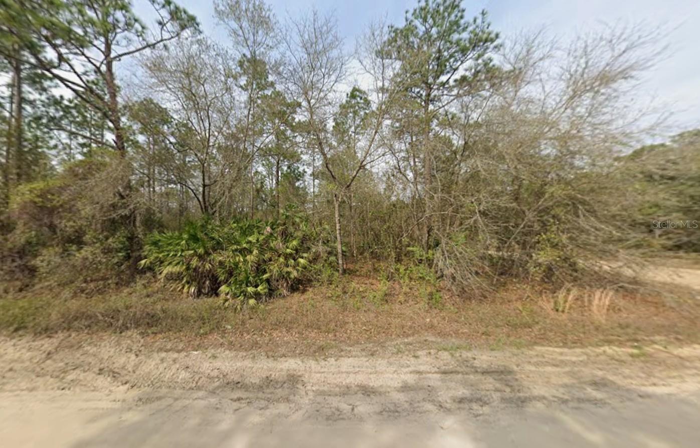 LOT 18 WALLACE ST, INTERLACHEN, FL, 32148