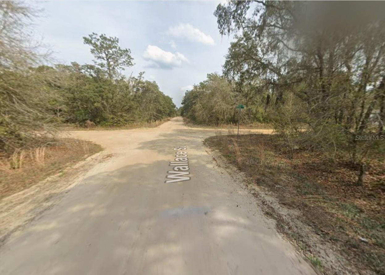 LOT 18 WALLACE ST, INTERLACHEN, FL, 32148