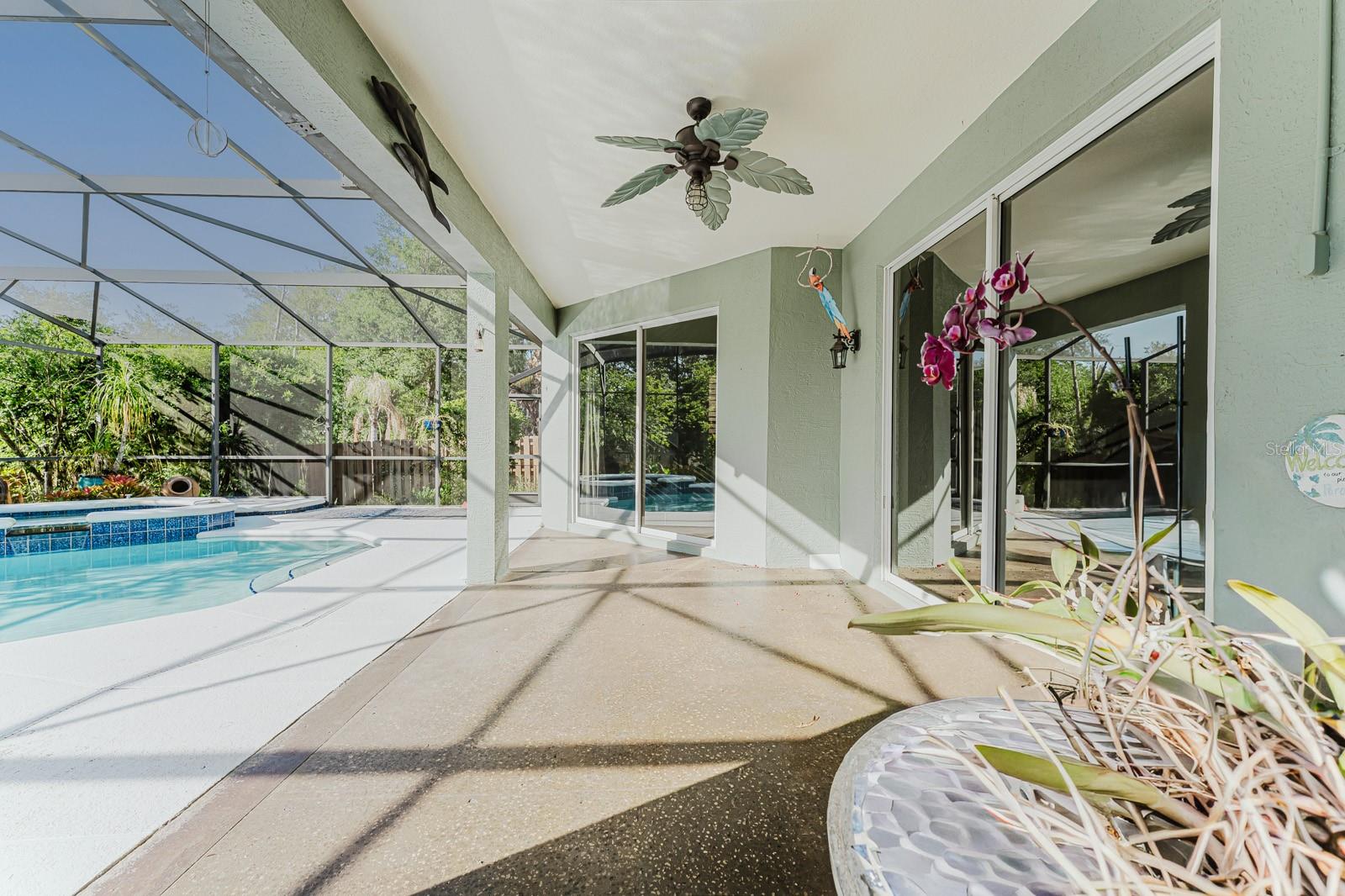 3645 ROCHELLE LN, APOPKA, FL, 32712