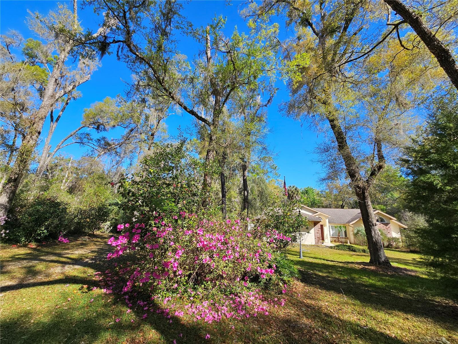 7912 SW 186TH CIR, DUNNELLON, FL, 34432