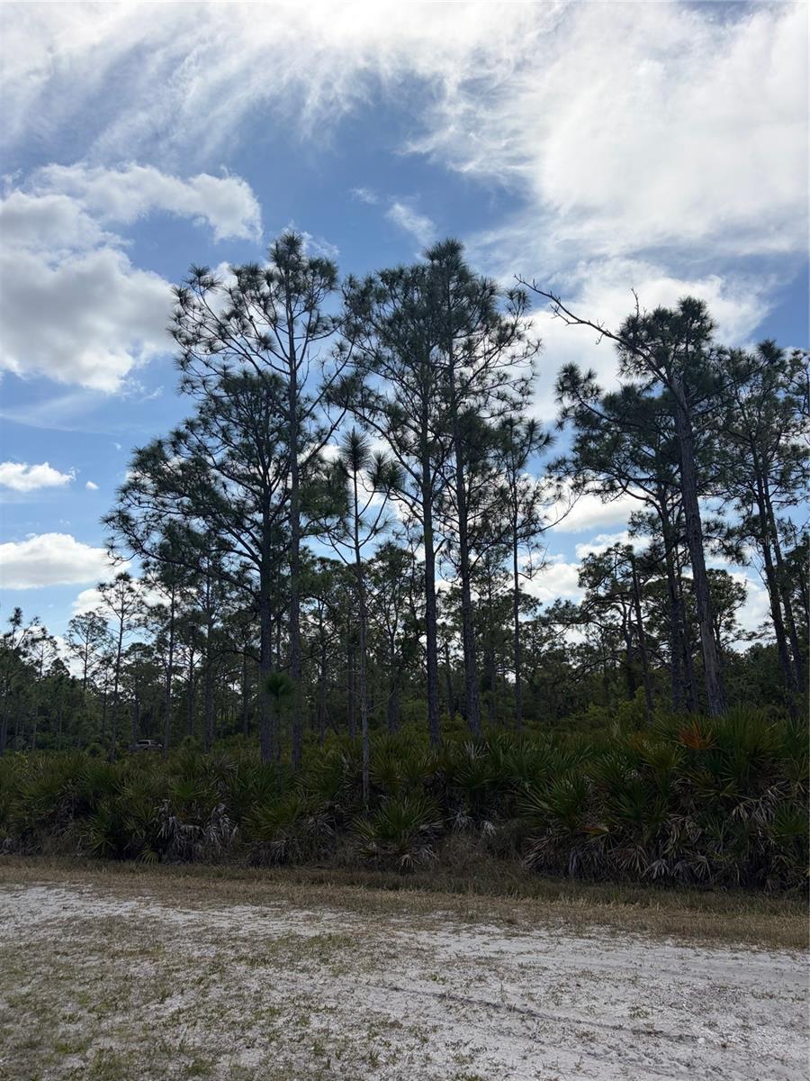 28078 RAMIRO DR, PUNTA GORDA, FL, 33955