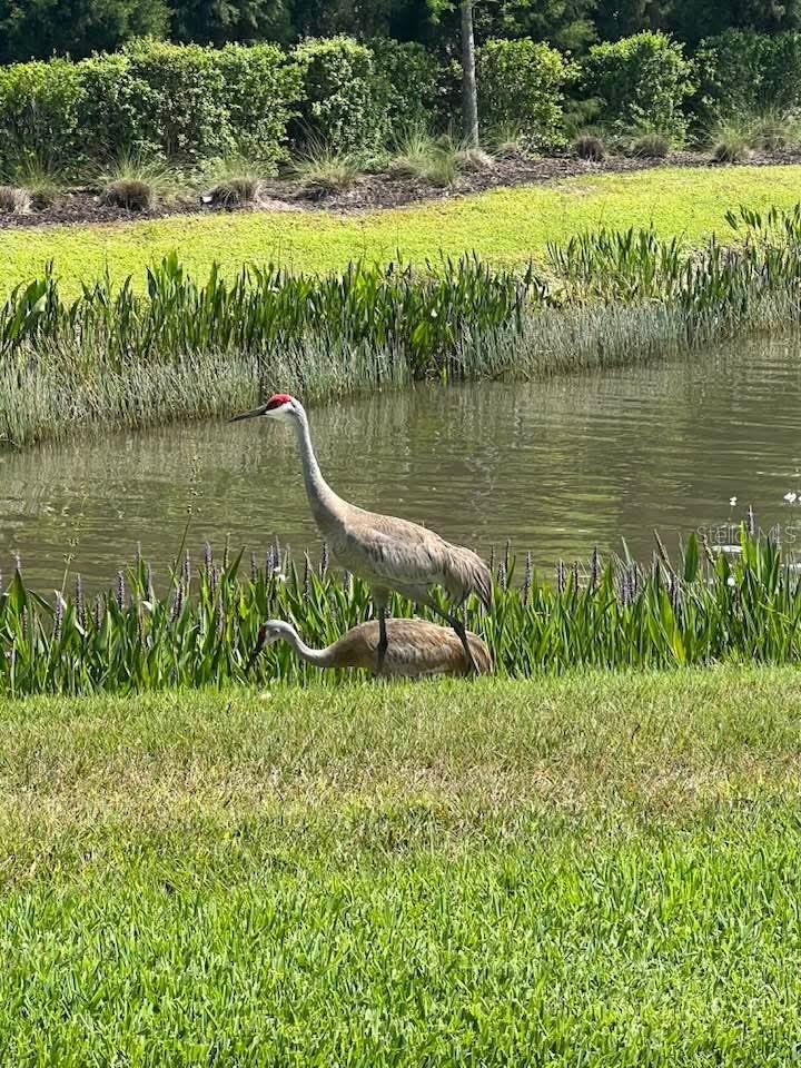 5906 164TH AVE E, PARRISH, FL, 34219