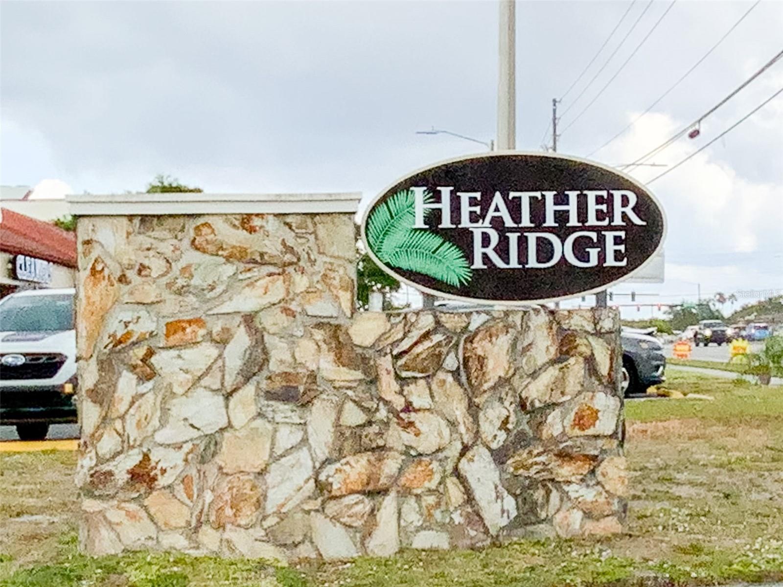 1370 HEATHER RIDGE BLVD #204, DUNEDIN, FL, 34698