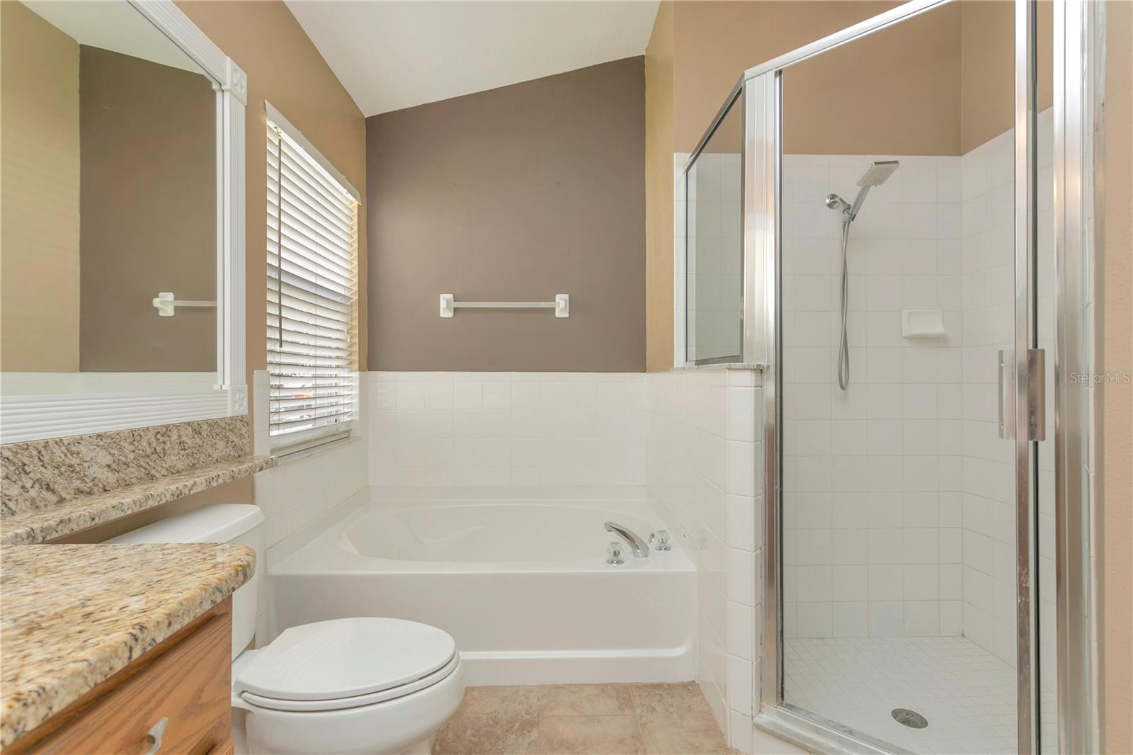 2617 BUCKHORN PRESERVE BLVD, VALRICO, FL, 33596