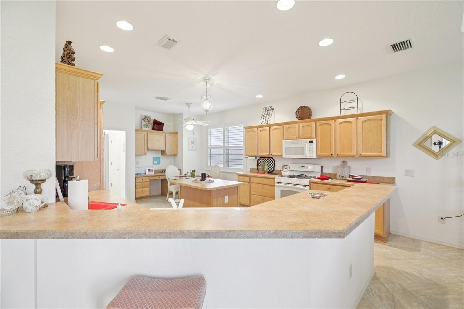 1605 LYNCHBURG LOOP, THE VILLAGES, FL, 32162