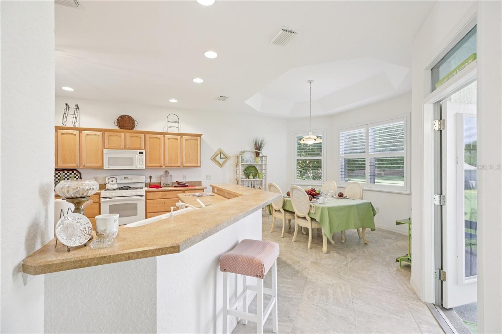 1605 LYNCHBURG LOOP, THE VILLAGES, FL, 32162