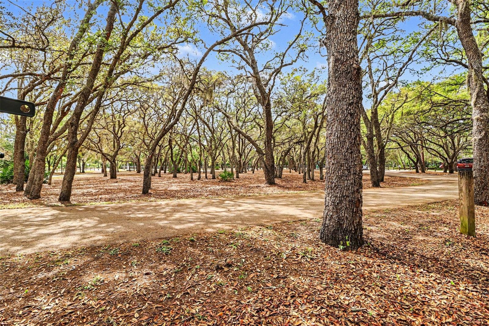 100 FESTIVE CT, CHULUOTA, FL, 32766