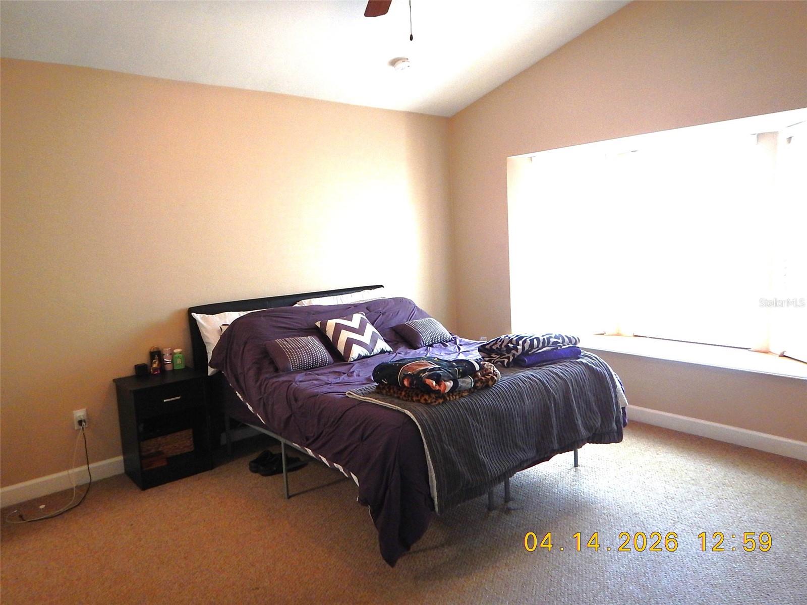 6343 FOX HOLLOW CT, HAMPTON, FL, 32044