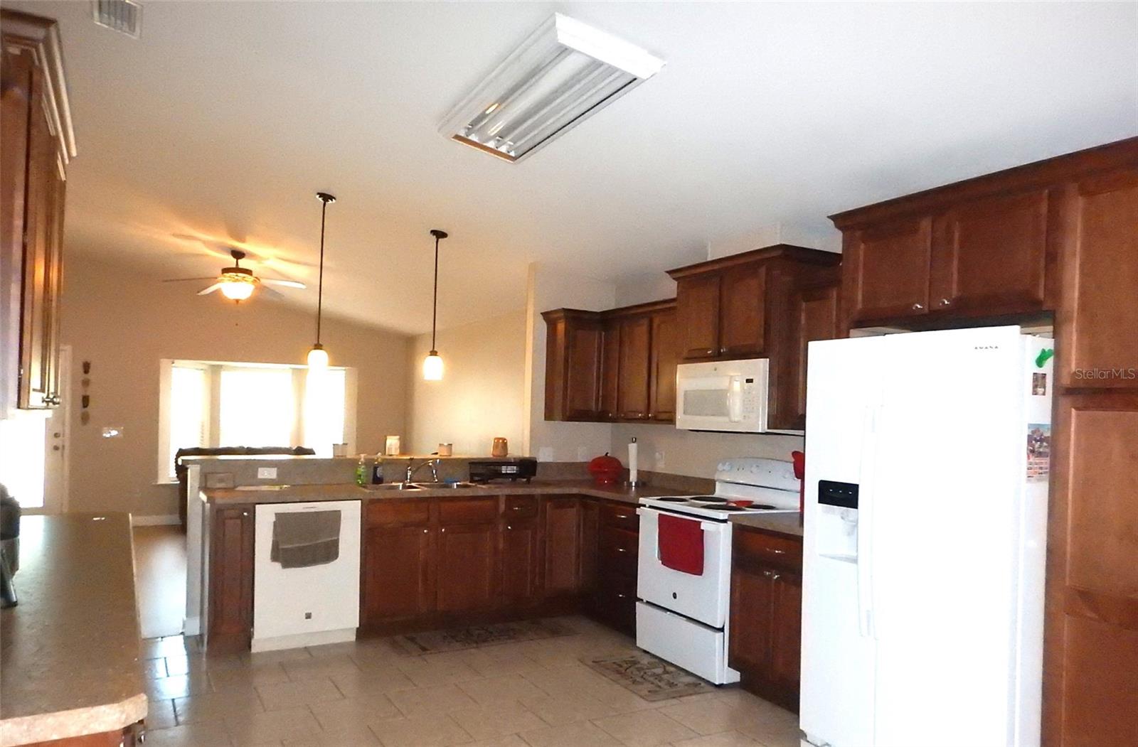 6343 FOX HOLLOW CT, HAMPTON, FL, 32044