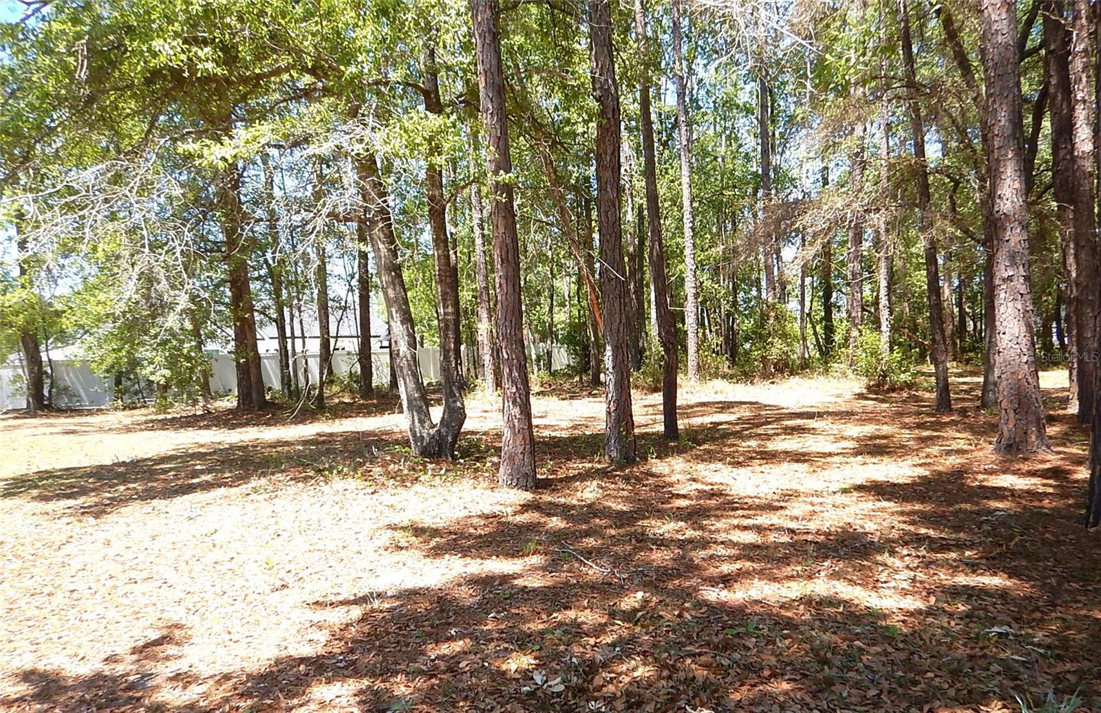 6343 FOX HOLLOW CT, HAMPTON, FL, 32044