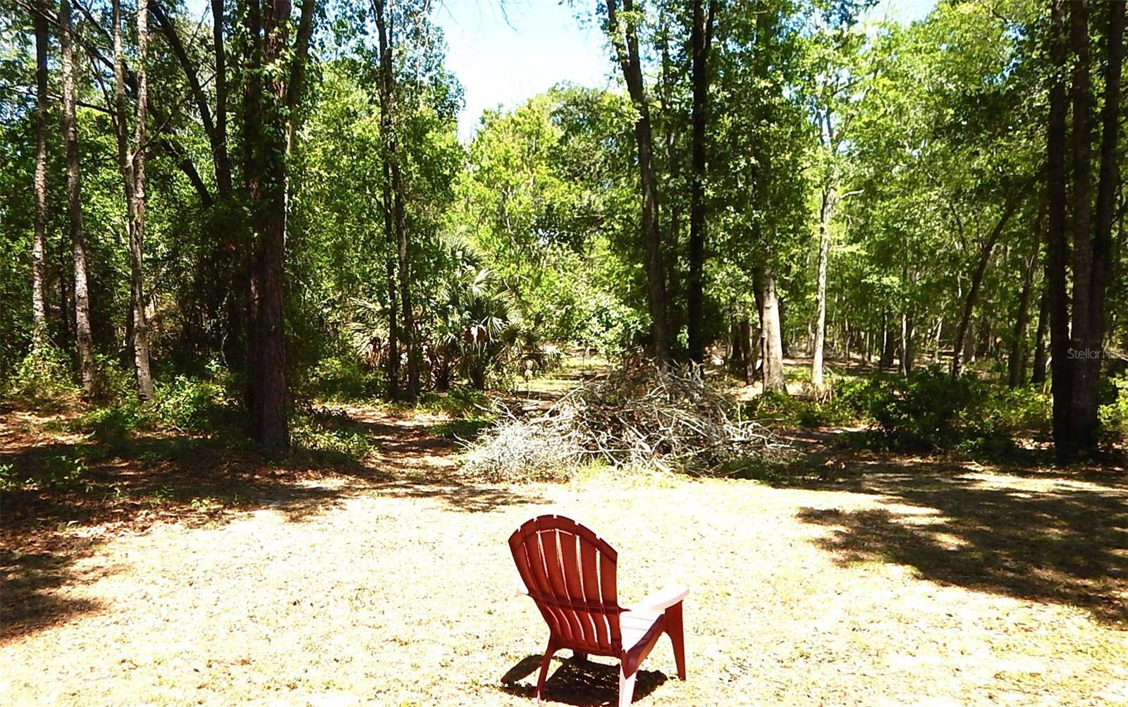 6343 FOX HOLLOW CT, HAMPTON, FL, 32044