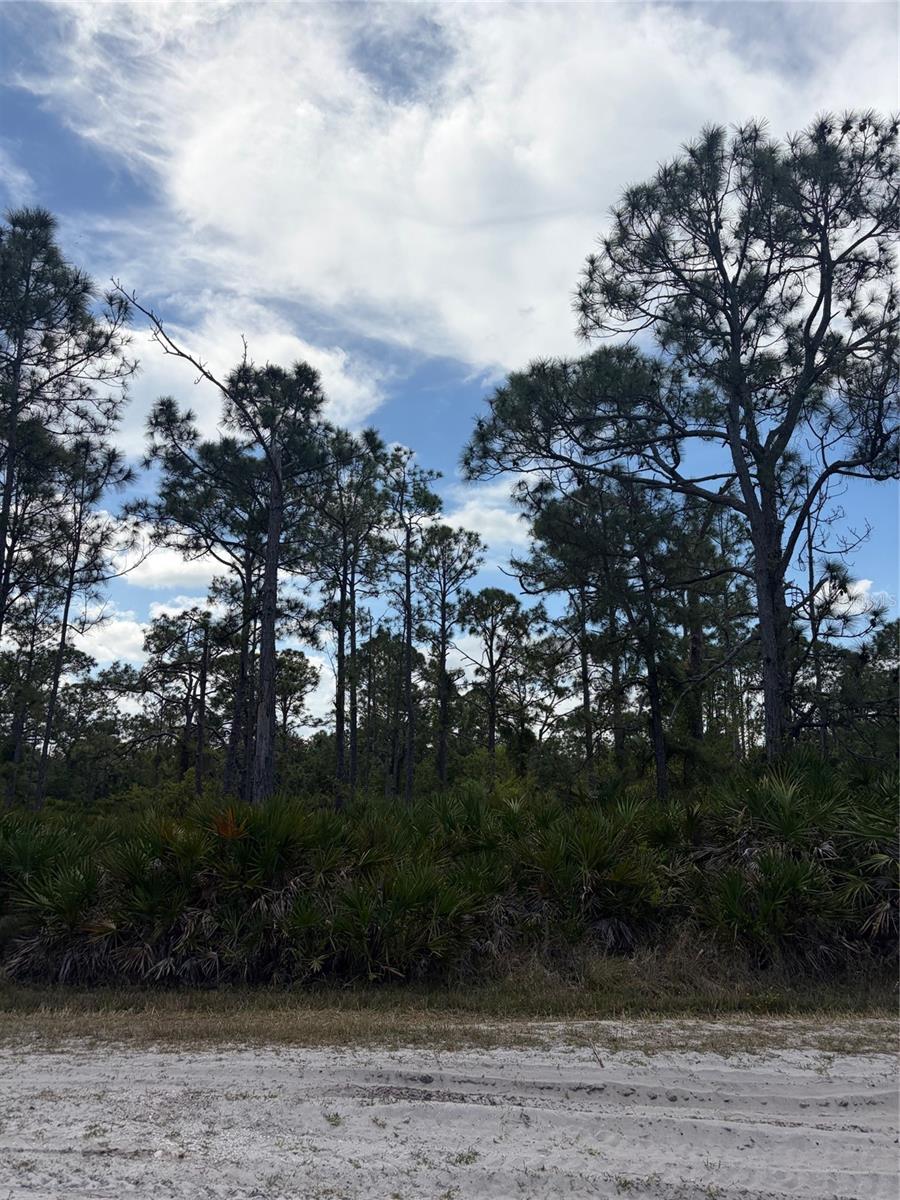 28072 RAMIRO DR, PUNTA GORDA, FL, 33955