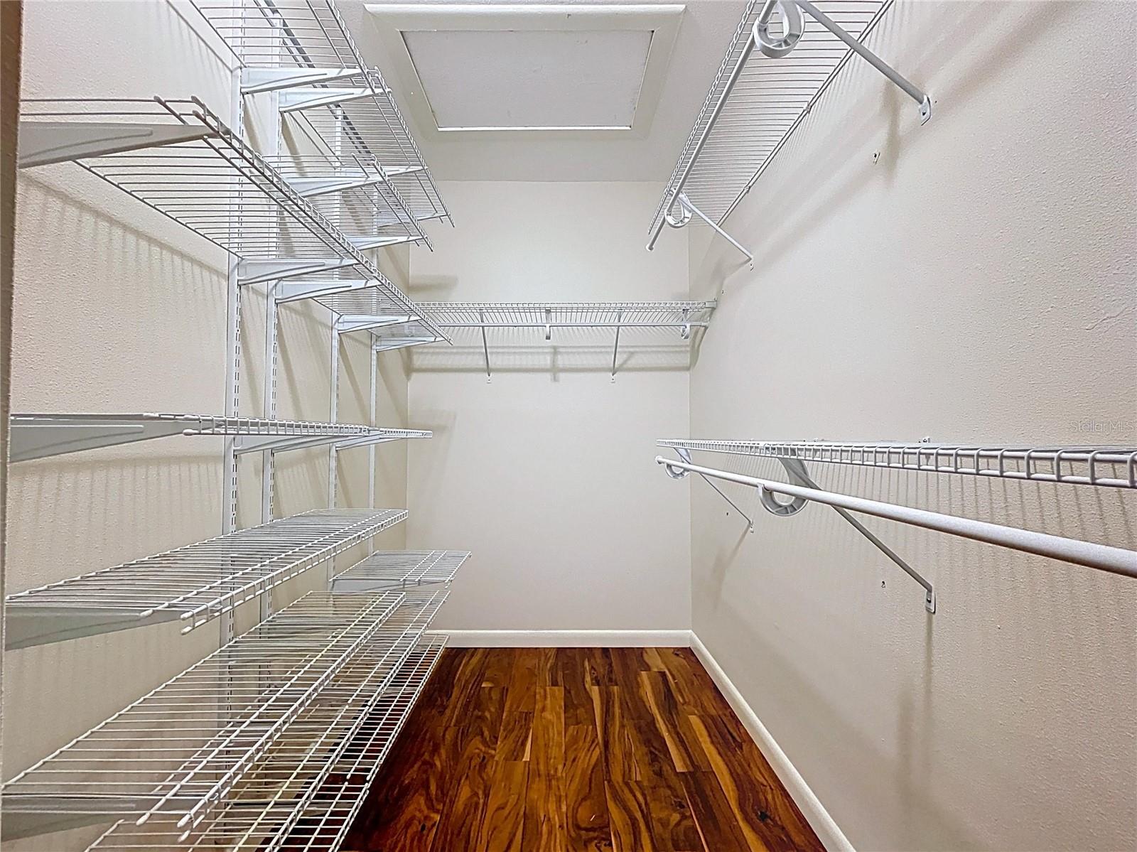 14711 TALL TREE DR, LUTZ, FL, 33559