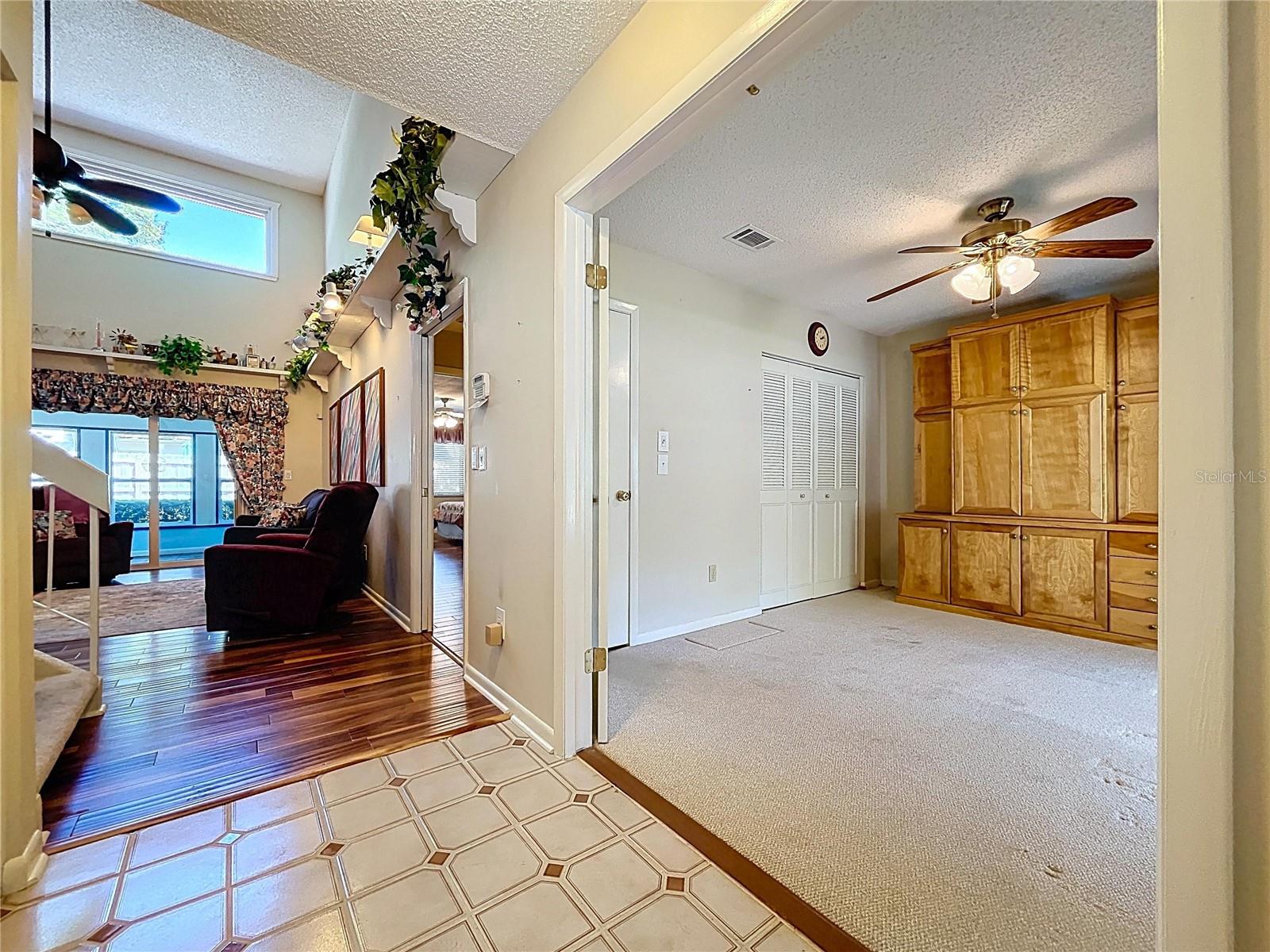 14711 TALL TREE DR, LUTZ, FL, 33559