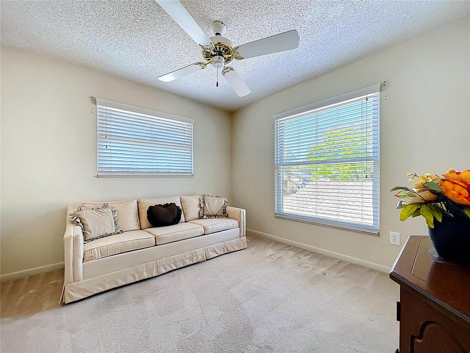 14711 TALL TREE DR, LUTZ, FL, 33559