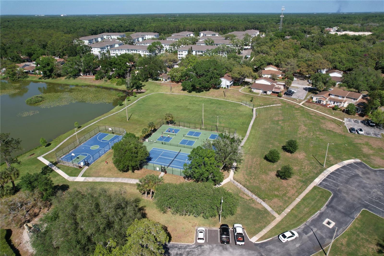 14711 TALL TREE DR, LUTZ, FL, 33559