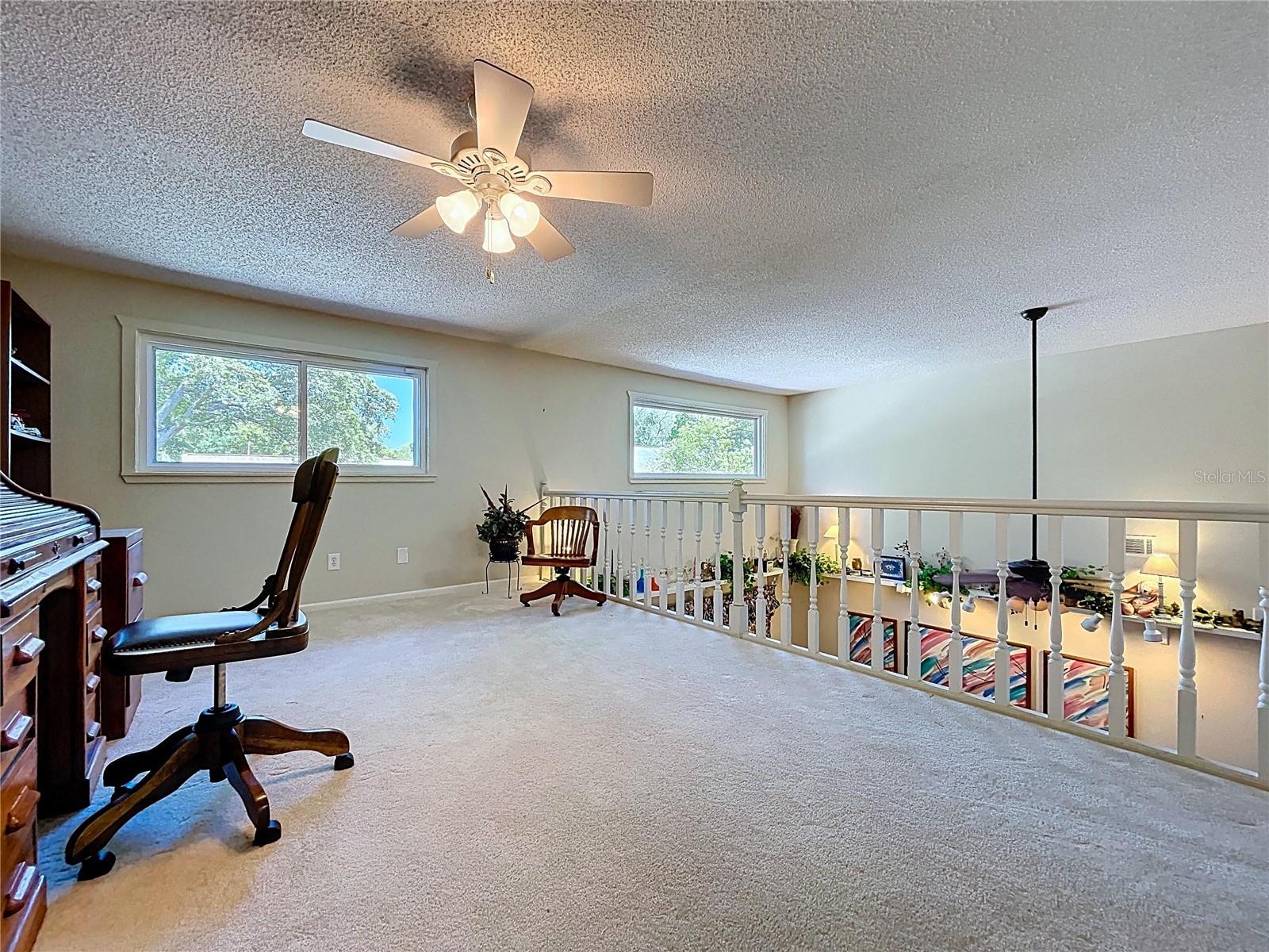 14711 TALL TREE DR, LUTZ, FL, 33559