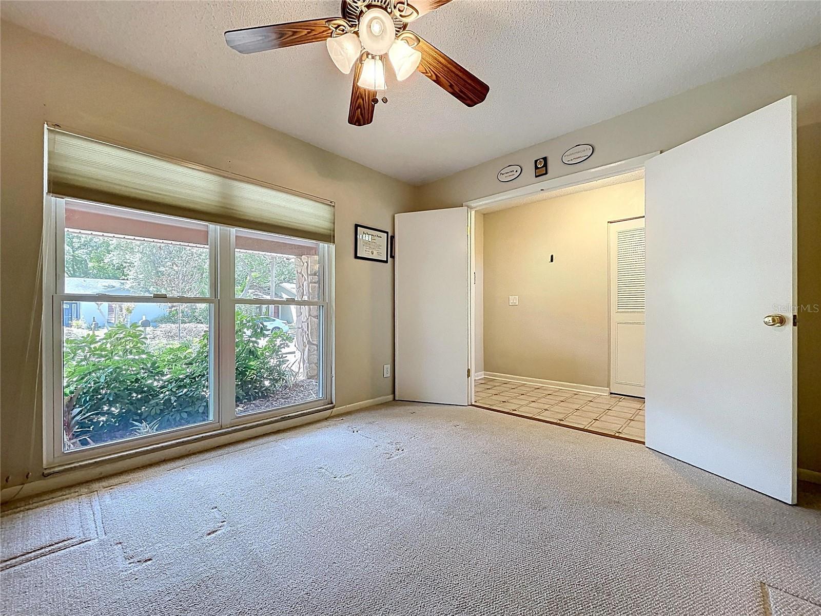 14711 TALL TREE DR, LUTZ, FL, 33559