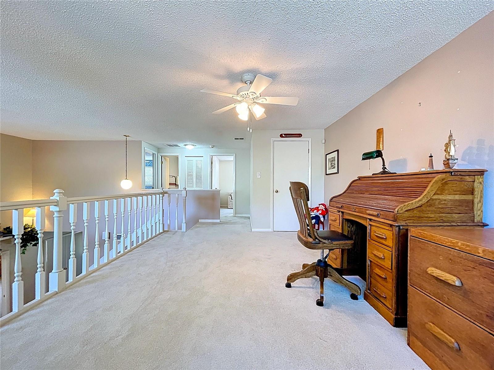 14711 TALL TREE DR, LUTZ, FL, 33559