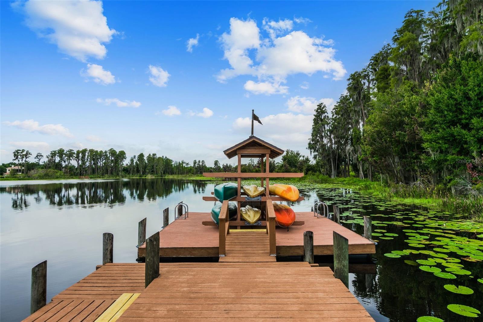 7441 AMBLESIDE DR, LAND O LAKES, FL, 34637