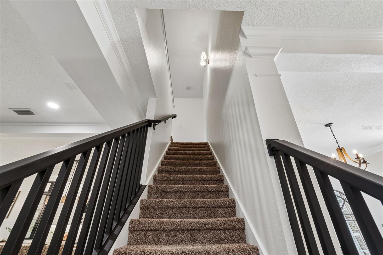 7441 AMBLESIDE DR, LAND O LAKES, FL, 34637