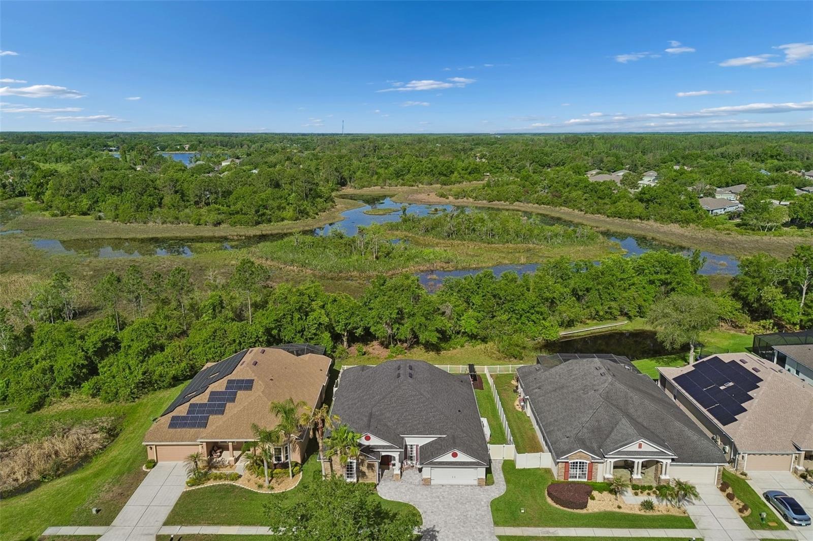 7441 AMBLESIDE DR, LAND O LAKES, FL, 34637