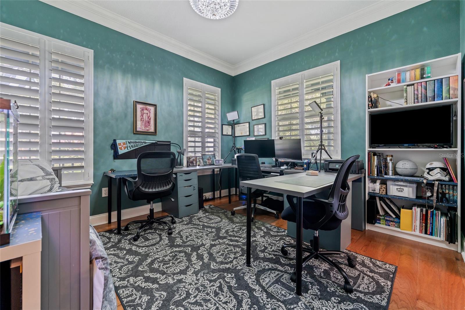 11449 LAKE BUTLER BLVD, WINDERMERE, FL, 34786