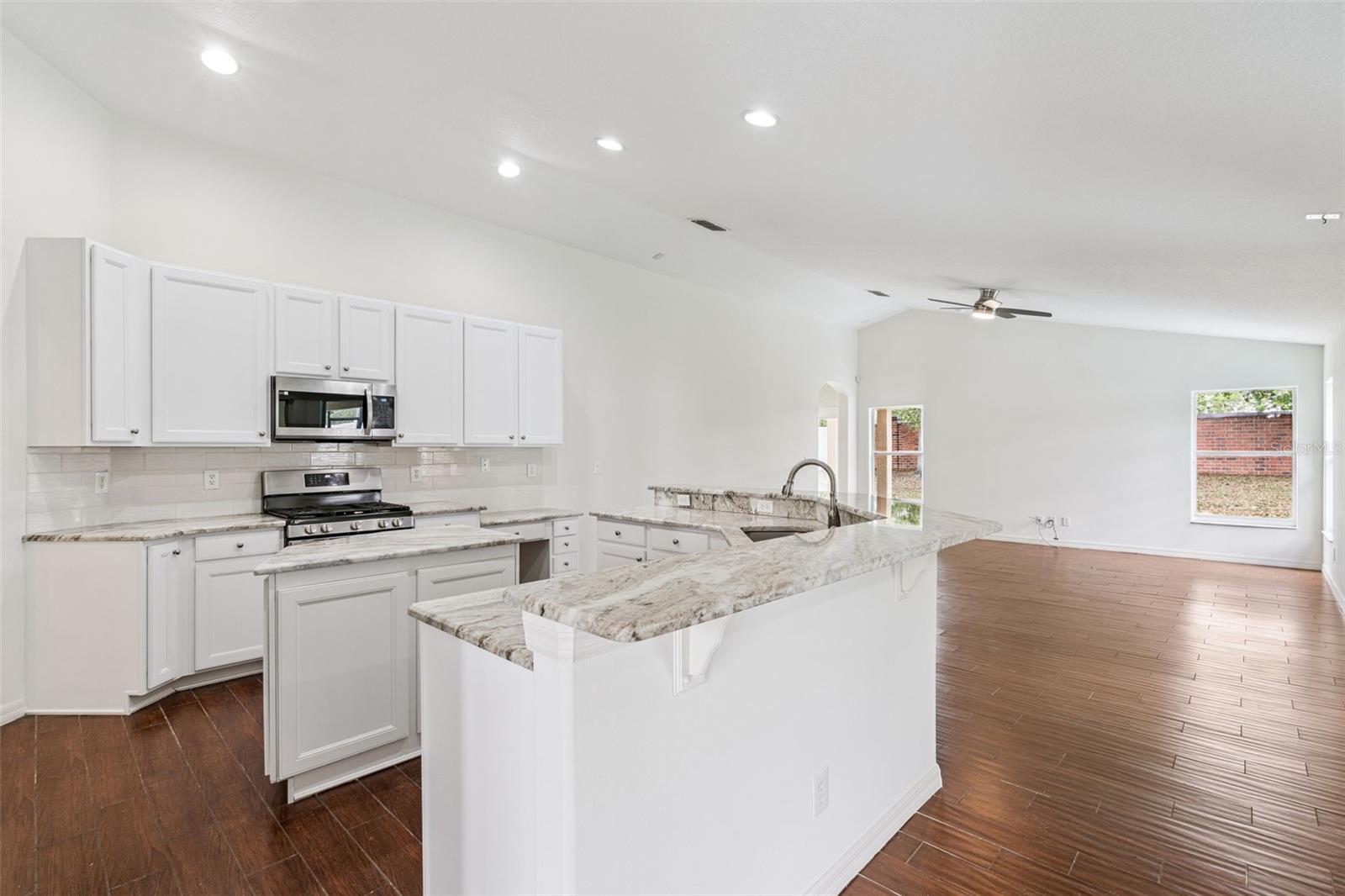 2440 HOLLY RIDGE CT, CLERMONT, FL, 34711