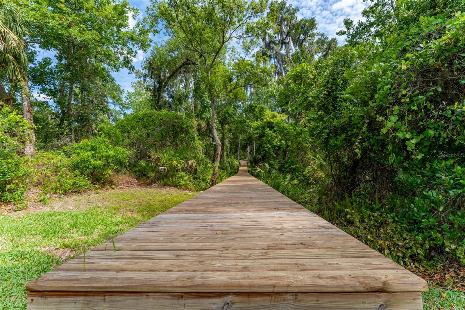 8214 REVELS RD, RIVERVIEW, FL, 33569