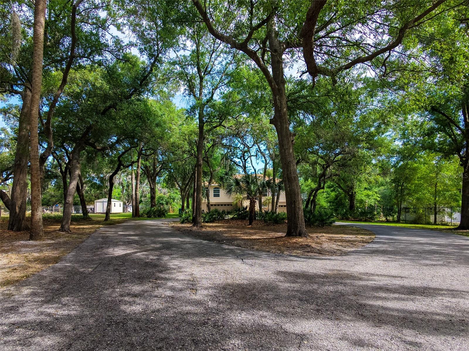 8214 REVELS RD, RIVERVIEW, FL, 33569
