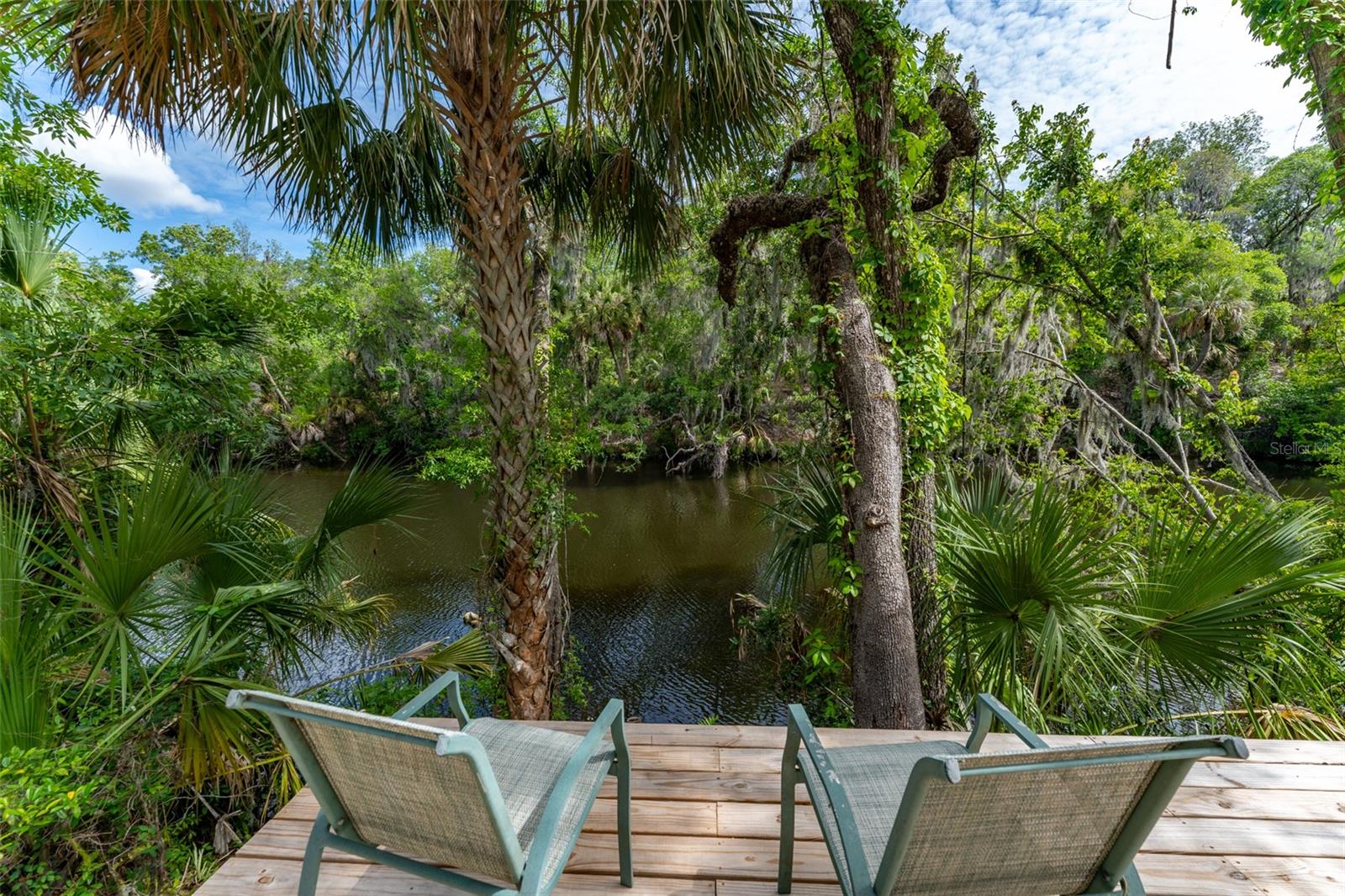 8214 REVELS RD, RIVERVIEW, FL, 33569