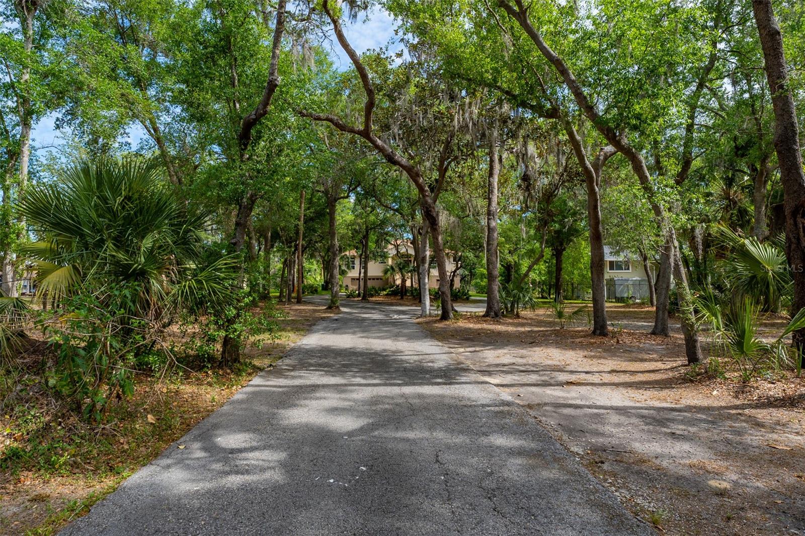8214 REVELS RD, RIVERVIEW, FL, 33569
