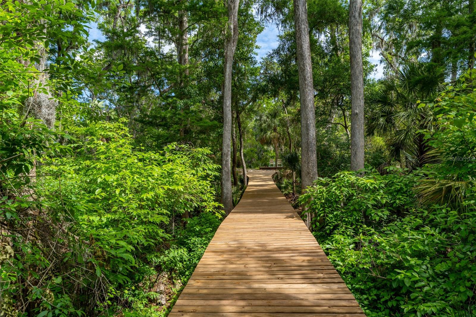 8214 REVELS RD, RIVERVIEW, FL, 33569