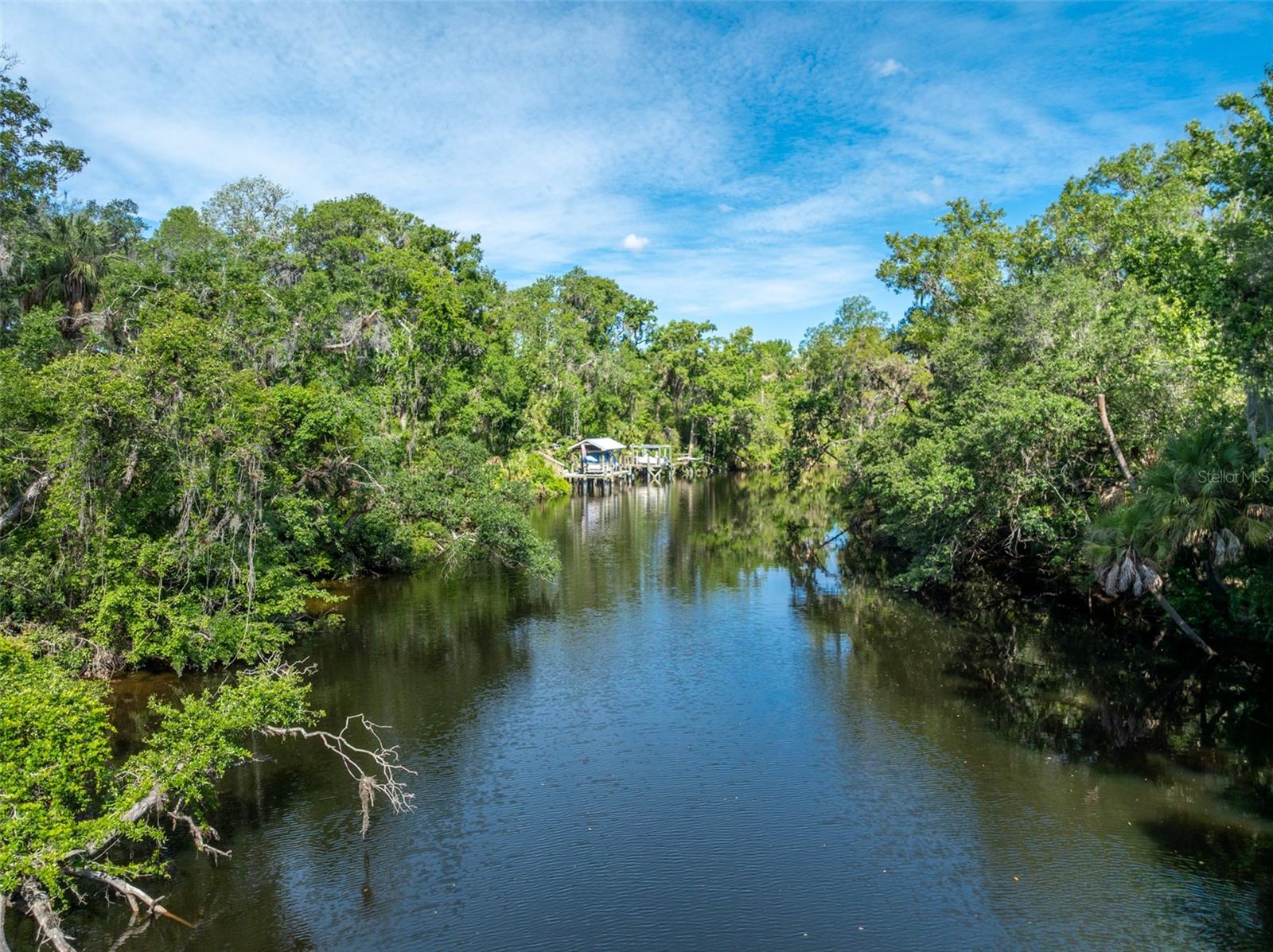 8214 REVELS RD, RIVERVIEW, FL, 33569