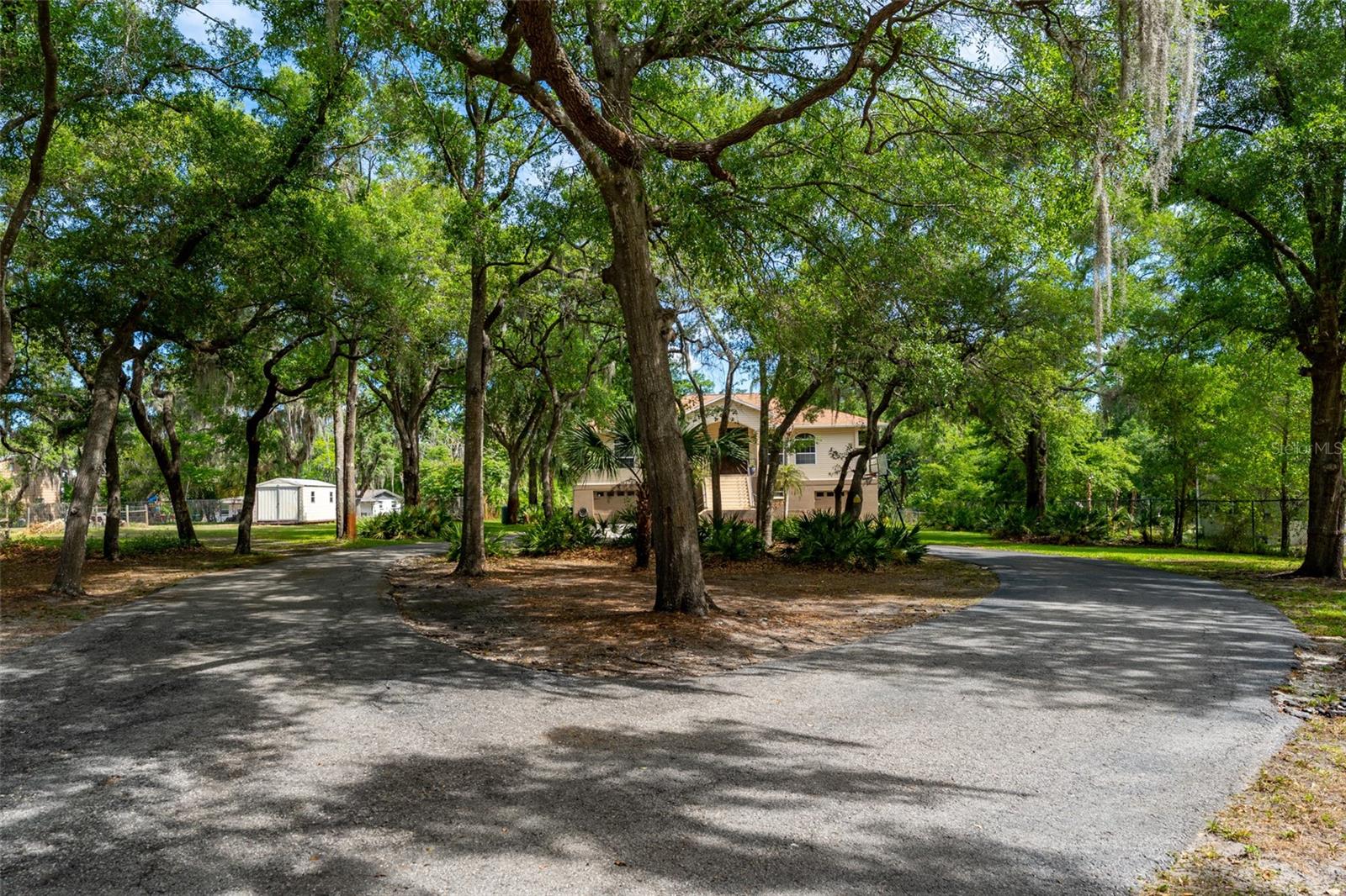 8214 REVELS RD, RIVERVIEW, FL, 33569