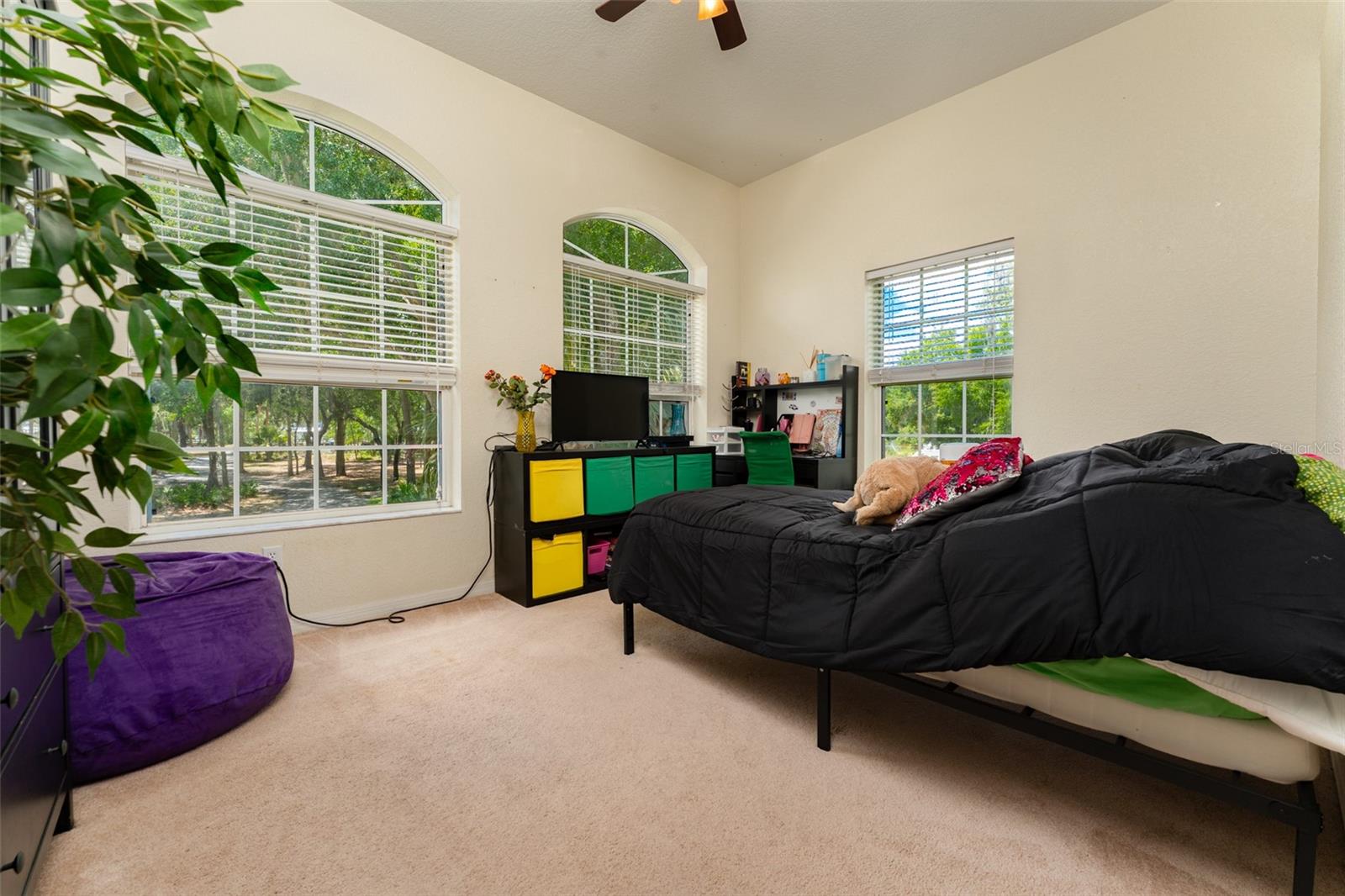 8214 REVELS RD, RIVERVIEW, FL, 33569