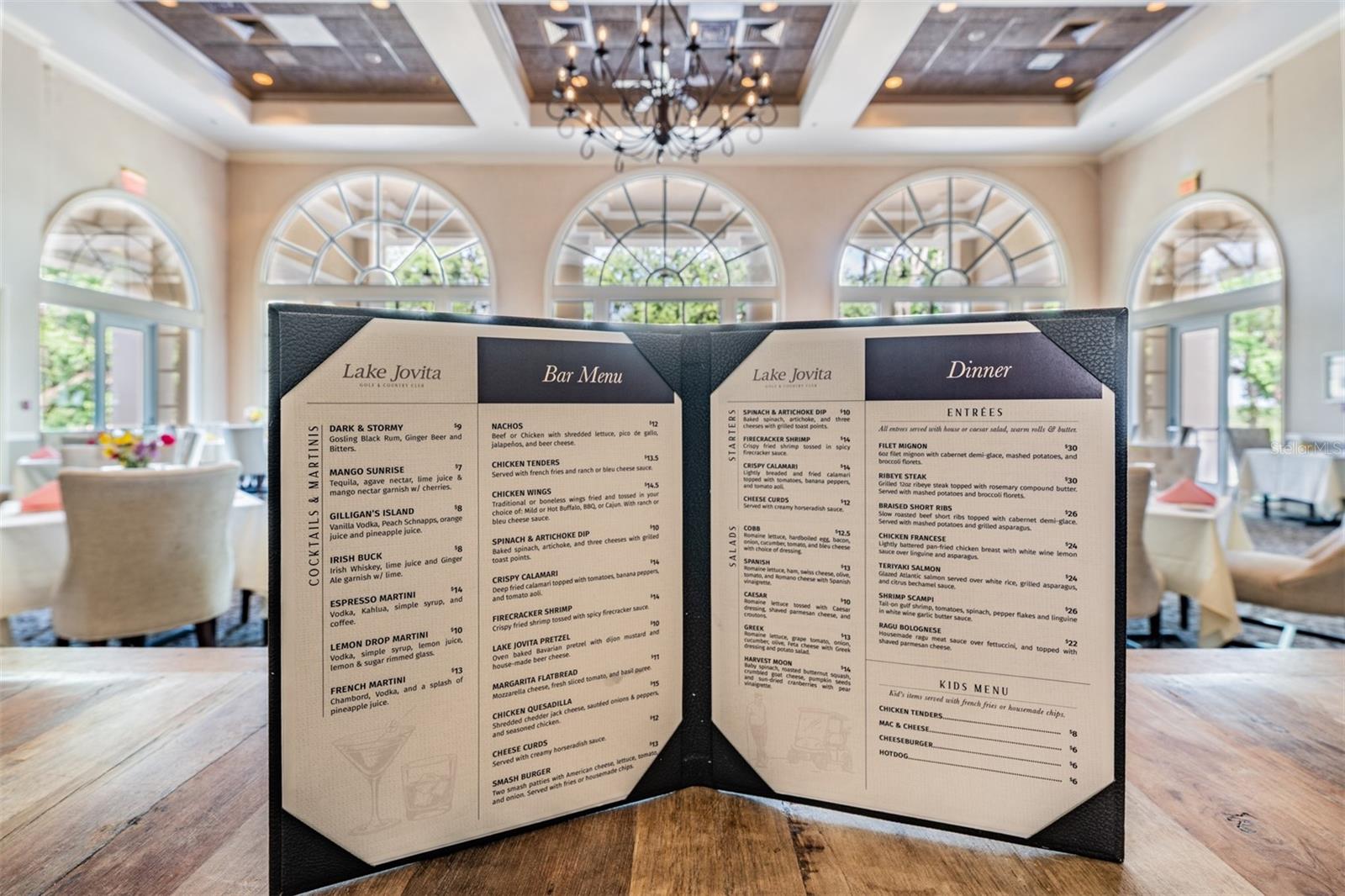 13915 CARRYBACK DR, DADE CITY, FL, 33525