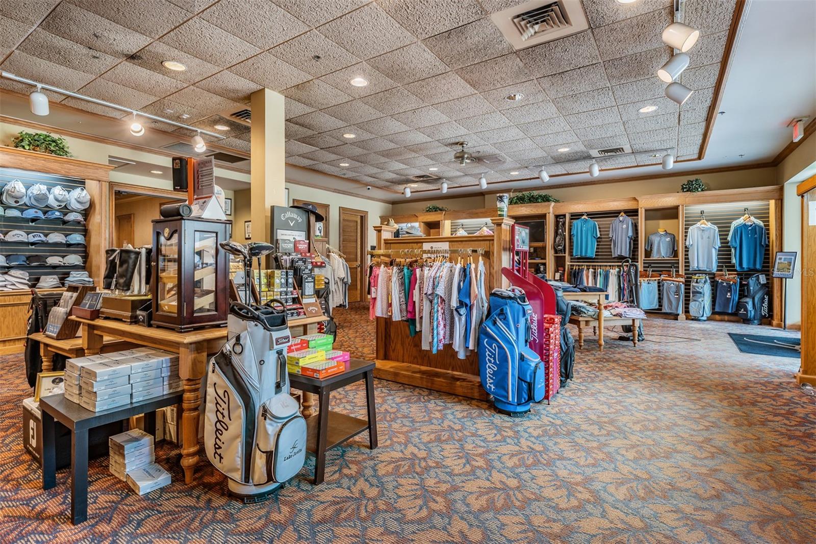 13915 CARRYBACK DR, DADE CITY, FL, 33525