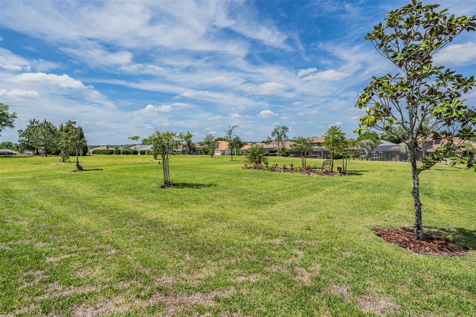 13915 CARRYBACK DR, DADE CITY, FL, 33525