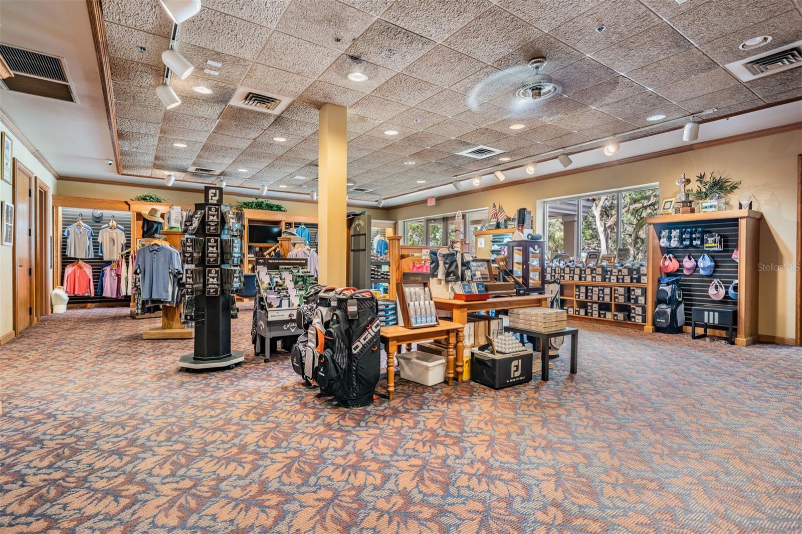 13915 CARRYBACK DR, DADE CITY, FL, 33525