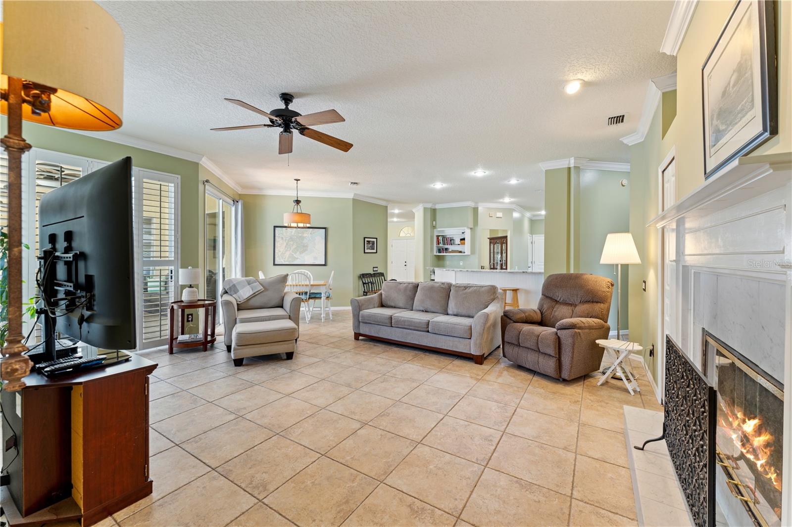 8715 HIDDEN GREEN LN, TAMPA, FL, 33647