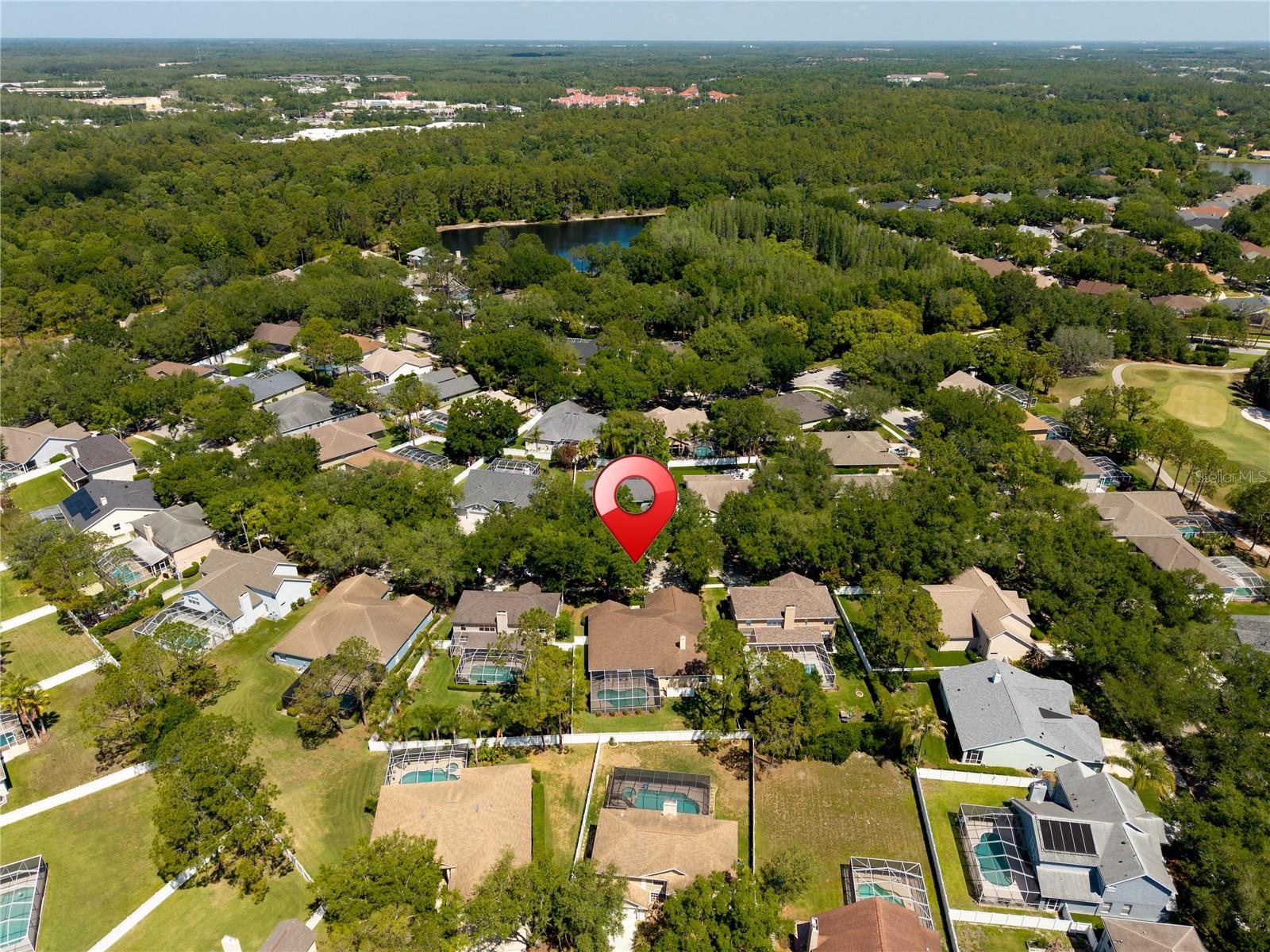 8715 HIDDEN GREEN LN, TAMPA, FL, 33647