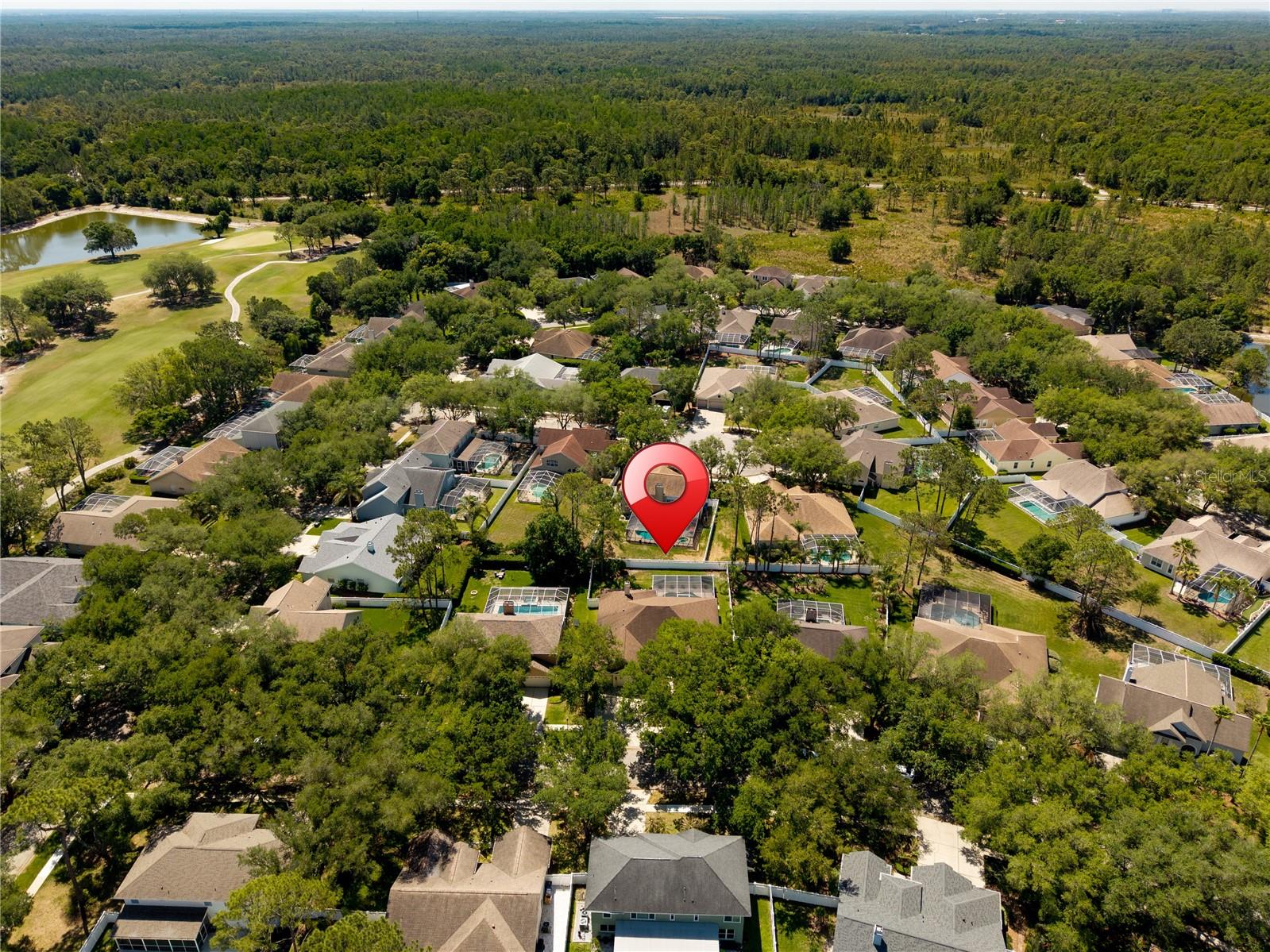 8715 HIDDEN GREEN LN, TAMPA, FL, 33647