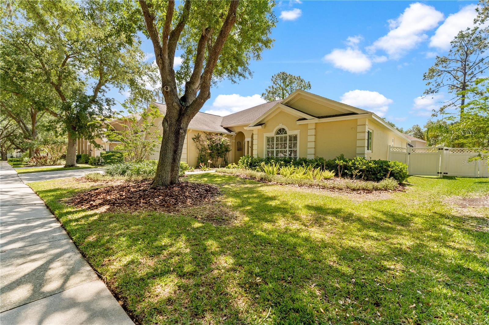 8715 HIDDEN GREEN LN, TAMPA, FL, 33647